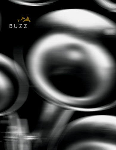 buzz - Work / Alan Fawcett